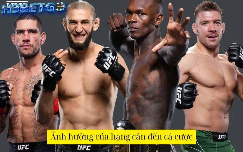 Ảnh hưởng của hạng cân đến cá cược