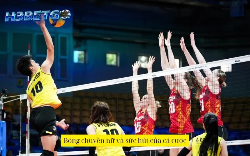 Bóng chuyền nữ và sức hút của cá cược