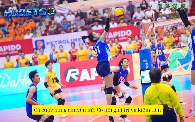 Cá cược bóng chuyền nữ: Cơ hội giải trí và kiếm tiền
