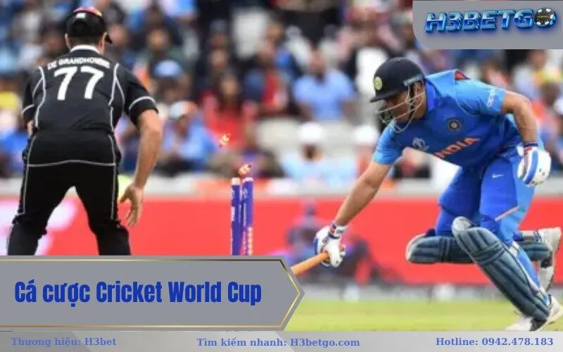 Cá cược Cricket World Cup