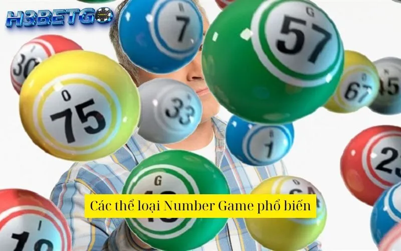 Các thể loại Number Game phổ biến