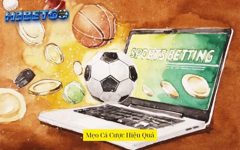 Mẹo Cá Cược Hiệu Quả