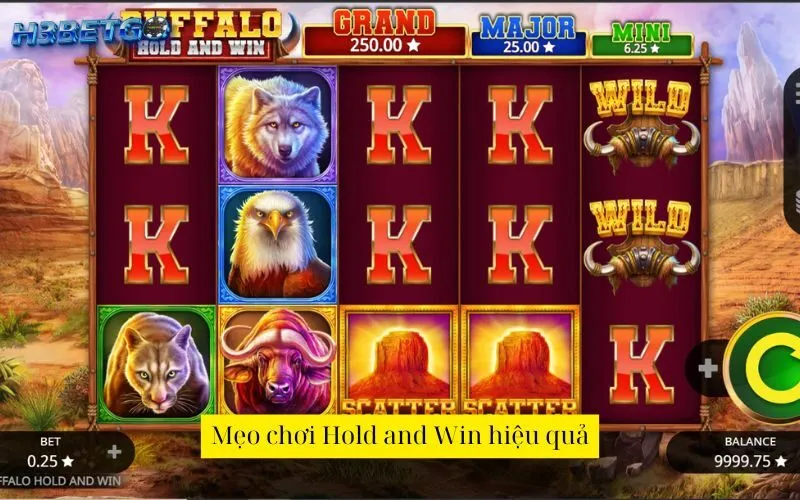 Mẹo chơi Hold and Win hiệu quả