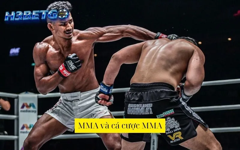 MMA và cá cược MMA